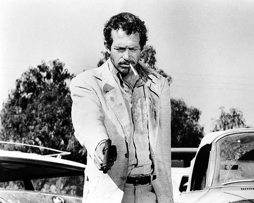 This is an image of Photograph & Poster of Warren Oates 199692