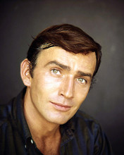 This is an image of Photograph & Poster of James Drury 290845
