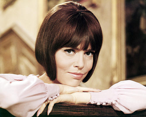 This is an image of Photograph & Poster of Barbara Feldon 290870