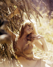 This is an image of Photograph & Poster of Raquel Welch 290872