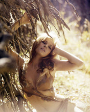 This is an image of Photograph & Poster of Raquel Welch 290904