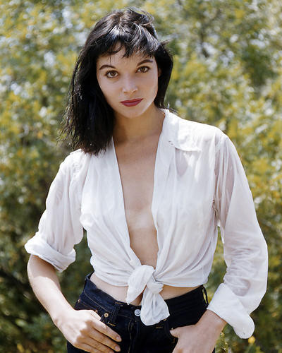 This is an image of Photograph & Poster of Elsa Martinelli 291070