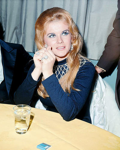 This is an image of Photograph & Poster of Ann-Margret 292333