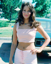 This is an image of Photograph & Poster of Jaclyn Smith 292378