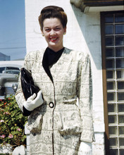 This is an image of Photograph & Poster of Rosalind Russell 292767