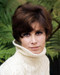 This is an image of Photograph & Poster of Stefanie Powers 292764