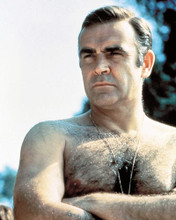 This is an image of Photograph & Poster of Sean Connery 291447