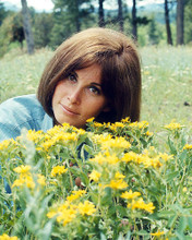 This is an image of Photograph & Poster of Stefanie Powers 291466