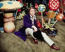 This is an image of Photograph & Poster of Willy Wonka and the Chocolate Factory 291485