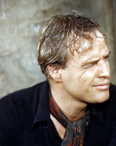 This is an image of Photograph & Poster of Marlon Brando 291135