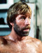 This is an image of Photograph & Poster of Chuck Norris 291139
