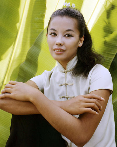 This is an image of Photograph & Poster of France Nuyen 291163