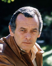 This is an image of Photograph & Poster of David Janssen 291164