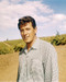 This is an image of Photograph & Poster of Rock Hudson 291176