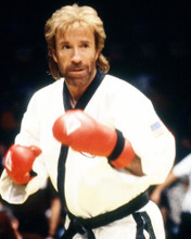 This is an image of Photograph & Poster of Chuck Norris 291196