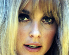 This is an image of Photograph & Poster of Sharon Tate 291201