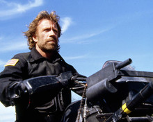 This is an image of Photograph & Poster of Chuck Norris 291219