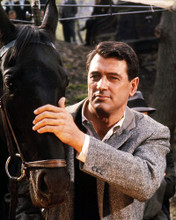 This is an image of Photograph & Poster of Rock Hudson 291226