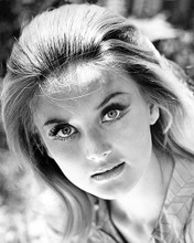 This is an image of Photograph & Poster of Barbara Bouchet 199485
