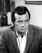 This is an image of Photograph & Poster of David Janssen 199545