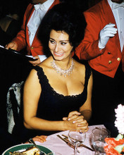 This is an image of Photograph & Poster of Sophia Loren 291330