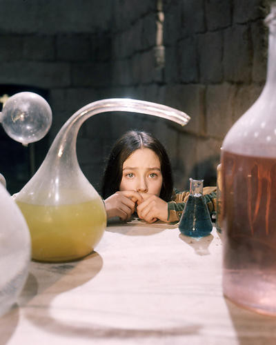 This is an image of Photograph & Poster of Olivia Hussey 291333