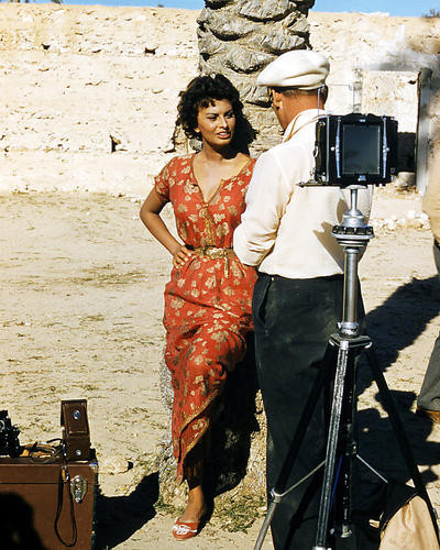 This is an image of Photograph & Poster of Sophia Loren 291353