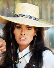 This is an image of Photograph & Poster of Raquel Welch 291363