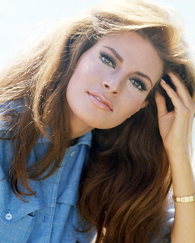 This is an image of Photograph & Poster of Raquel Welch 291375