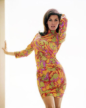 This is an image of Photograph & Poster of Raquel Welch 291401