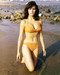 This is an image of Photograph & Poster of Raquel Welch 291402