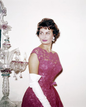 This is an image of Photograph & Poster of Sophia Loren 291404