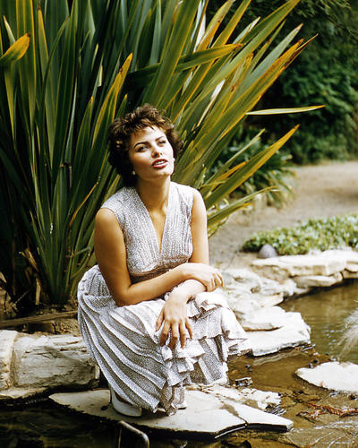 This is an image of Photograph & Poster of Sophia Loren 291409