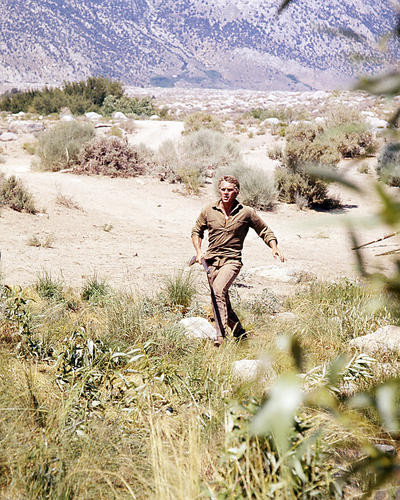 This is an image of Photograph & Poster of Steve McQueen 291584