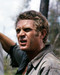 This is an image of Photograph & Poster of Steve McQueen 291593