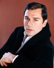 This is an image of Photograph & Poster of George Maharis 291648