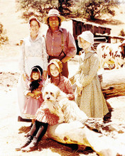 This is an image of Photograph & Poster of Little House on the Prairie 291788
