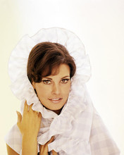 This is an image of Photograph & Poster of Raquel Welch 291731