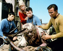 This is an image of Photograph & Poster of Star Trek 291691