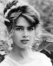 This is an image of Photograph & Poster of Brooke Shields 199758