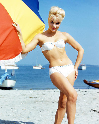 This is an image of Photograph & Poster of Elke Sommer 291840