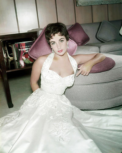 This is an image of Photograph & Poster of Elizabeth Taylor 292034