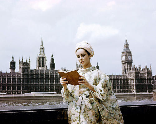 This is an image of Photograph & Poster of Elizabeth Taylor 292035