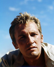 This is an image of Photograph & Poster of Roy Thinnes 292114