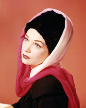 This is an image of Photograph & Poster of Shirley Maclaine 292125