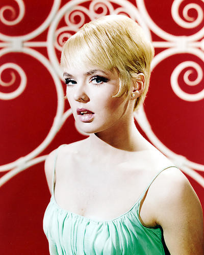 This is an image of Photograph & Poster of Joey Heatherton 292443