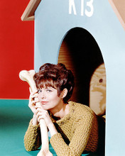 This is an image of Photograph & Poster of Barbara Feldon 292737