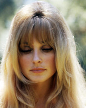 This is an image of Photograph & Poster of Sharon Tate 292224