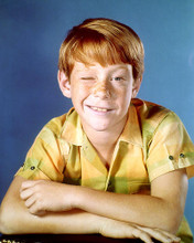 This is an image of Photograph & Poster of Billy Mumy 292629