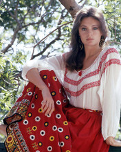 This is an image of Photograph & Poster of Jacqueline Bisset 292880